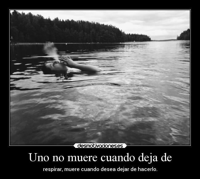 carteles dolor vida zarcortgame clanfhag desmotivaciones