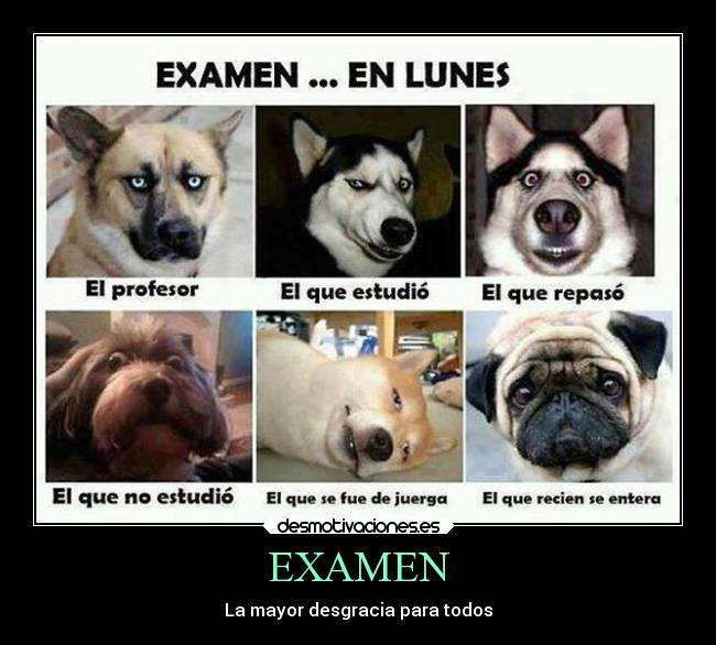 EXAMEN -