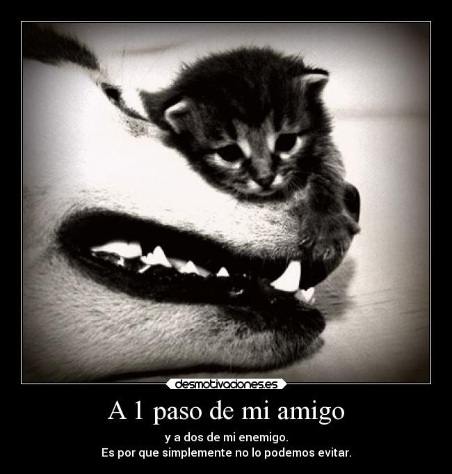A 1 paso de mi amigo - y a dos de mi enemigo.
Es por que simplemente no lo podemos evitar.
