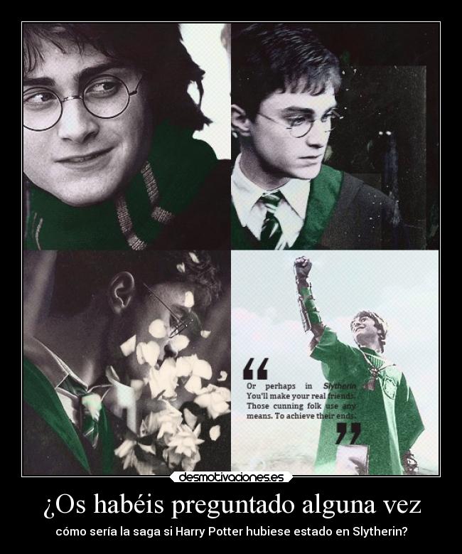 ¿Os habéis preguntado alguna vez - cómo sería la saga si Harry Potter hubiese estado en Slytherin?