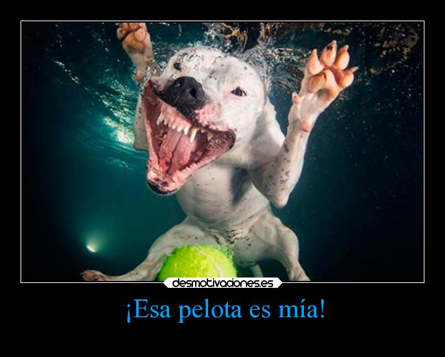 ¡Esa pelota es mía! - 