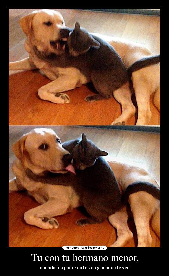 carteles familia desmotivaciones