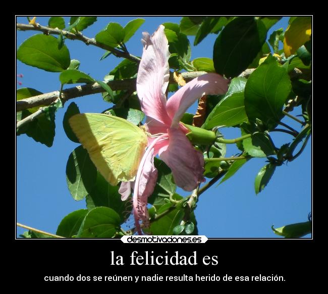 carteles felicidad felicidad desmotivaciones