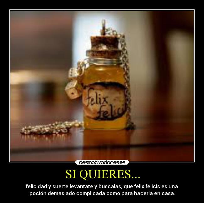 SI QUIERES... - 