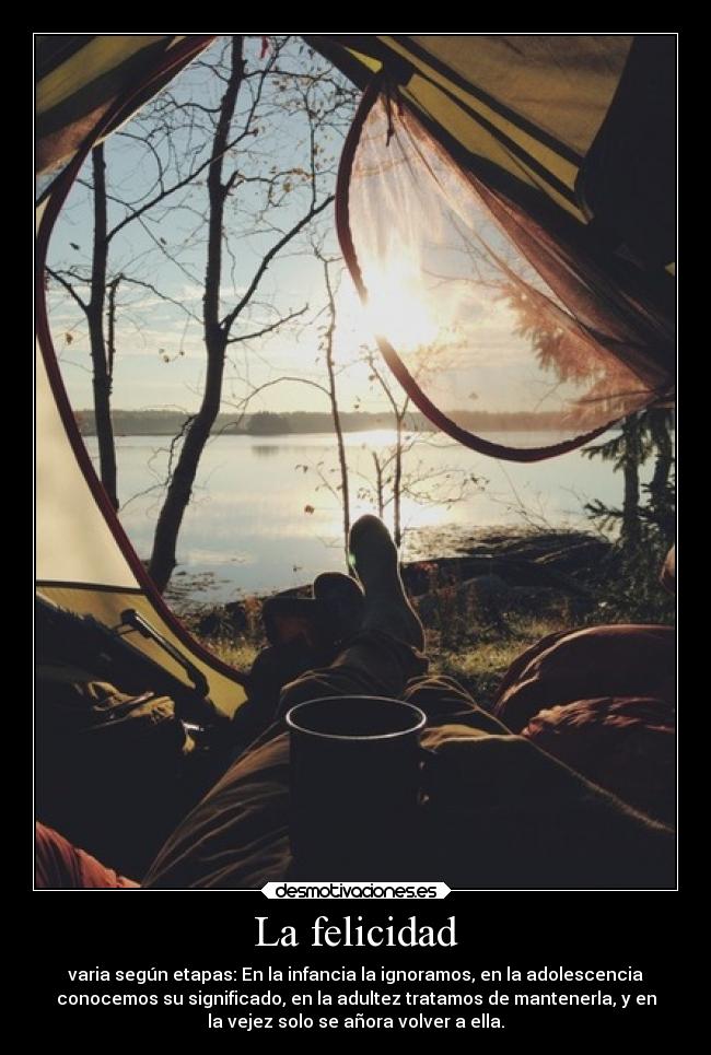 carteles felicidad felicidad yonosenada desmotivaciones