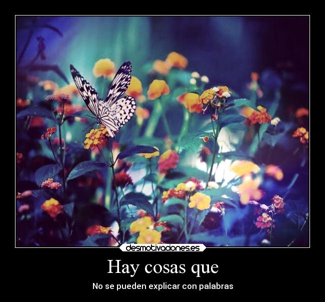 Hay cosas que - No se pueden explicar con palabras