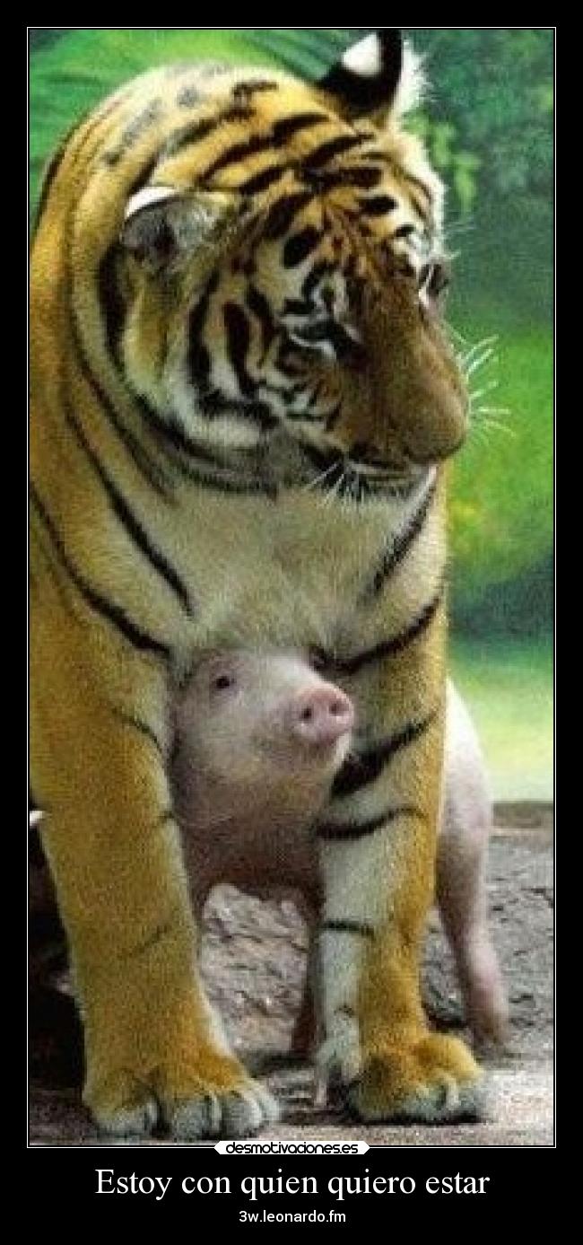 Estoy con quien quiero estar - 3w.leonardo.fm