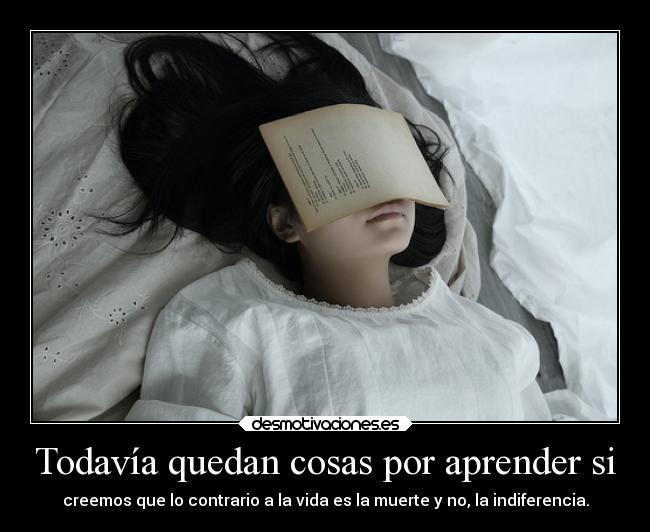 Todavía quedan cosas por aprender si - 