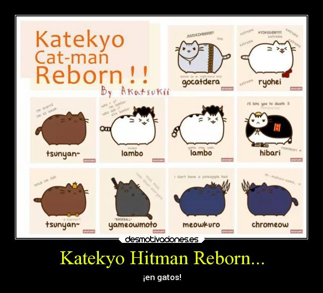 Katekyo Hitman Reborn... - 