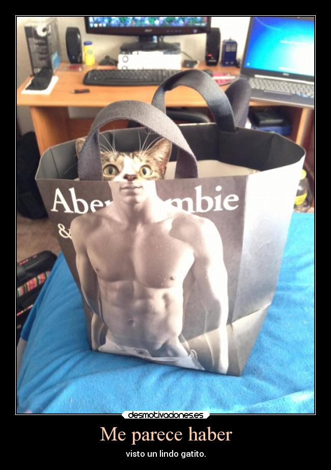 Me parece haber - visto un lindo gatito.