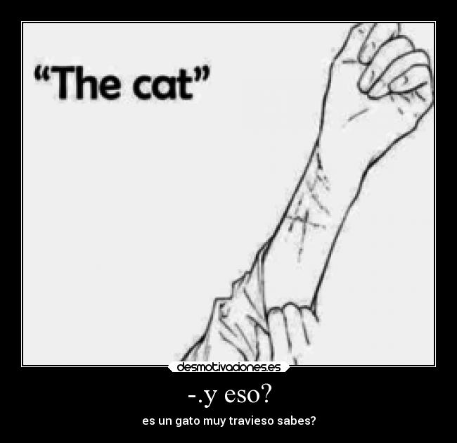 -.y eso? - es un gato muy travieso sabes?