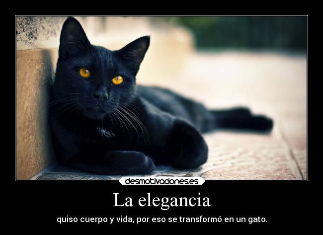 La elegancia - 