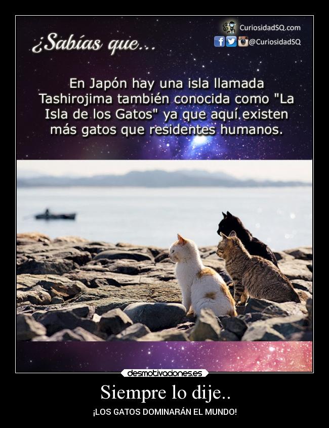 Siempre lo dije.. - ¡LOS GATOS DOMINARÁN EL MUNDO!