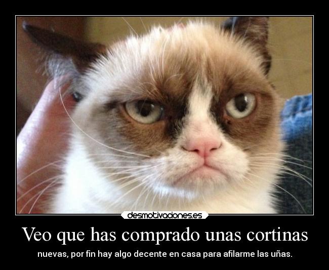 Veo que has comprado unas cortinas -