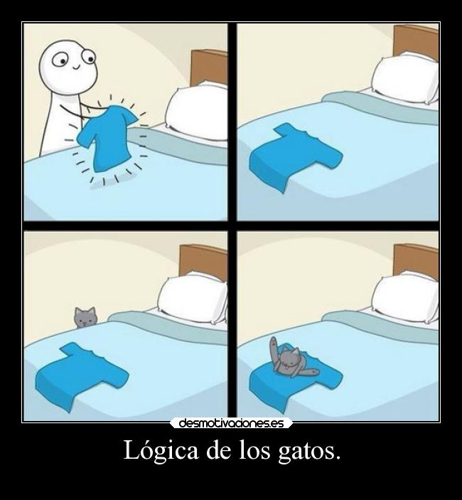 Lógica de los gatos. - 