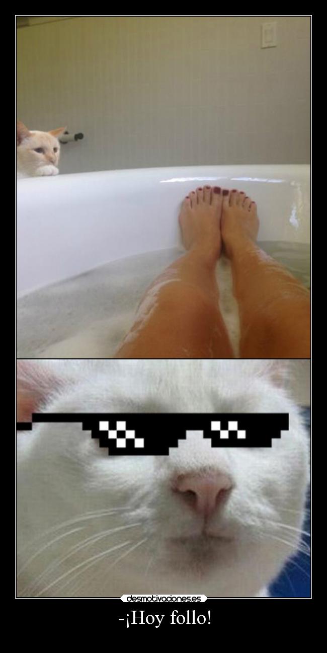 -¡Hoy follo! - 