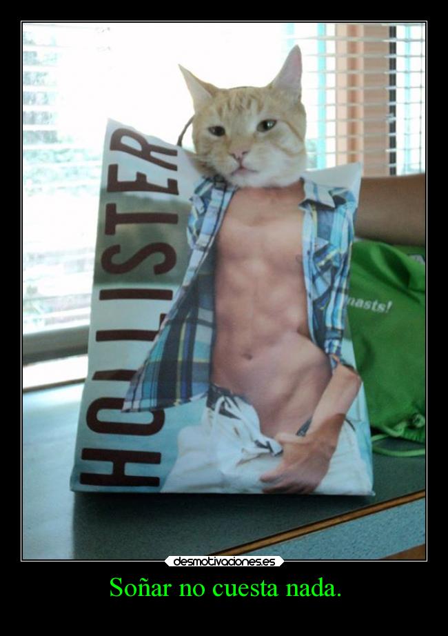 Soñar no cuesta nada. -