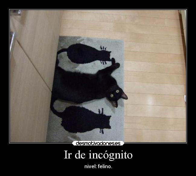Ir de incógnito - 