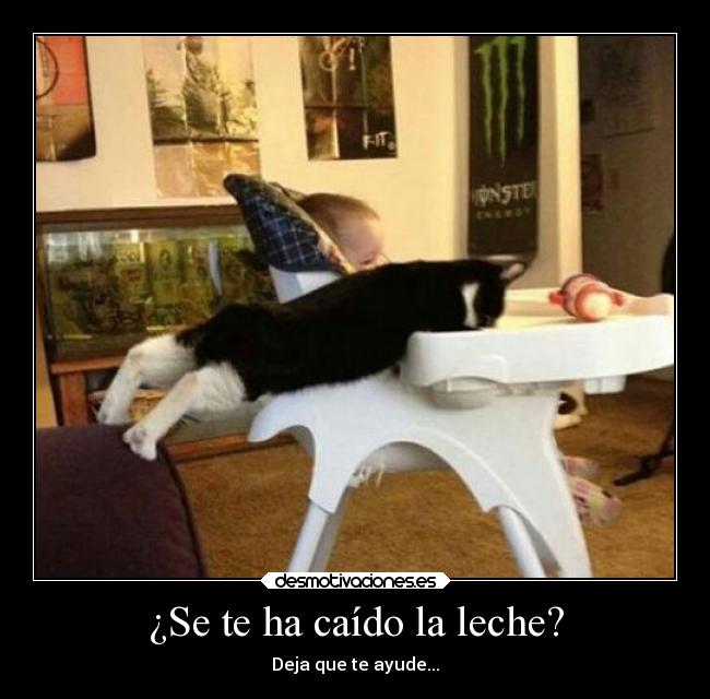 ¿Se te ha caído la leche? -