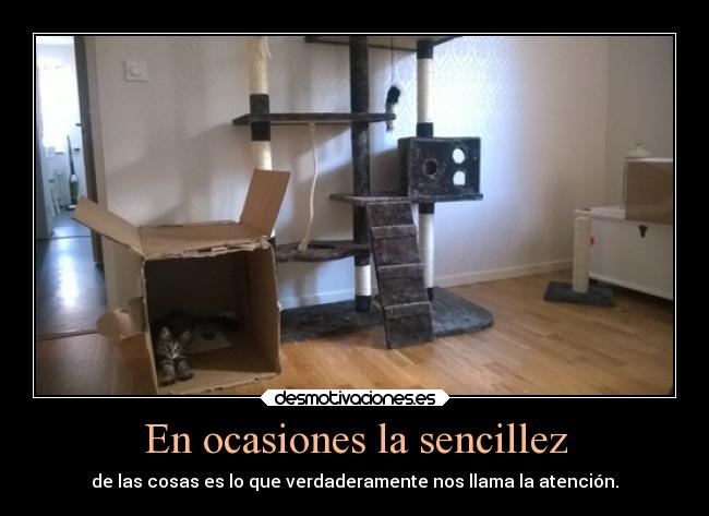 En ocasiones la sencillez - 