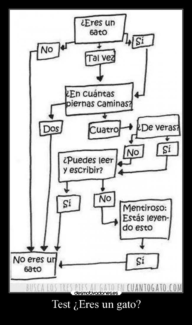carteles gatos test eres gato desmotivaciones