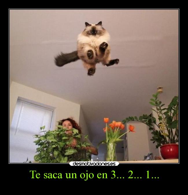 Te saca un ojo en 3... 2... 1... - 