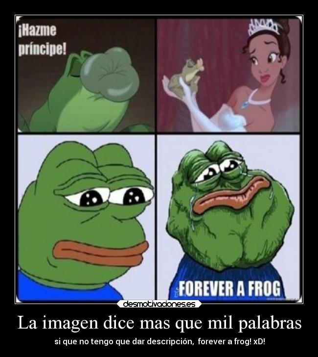 La imagen dice mas que mil palabras - si que no tengo que dar descripción, forever a frog! xD!