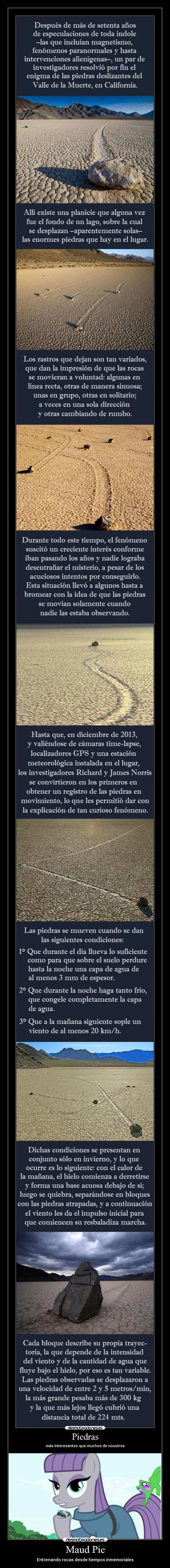 Maud Pie - Entrenando rocas desde tiempos inmemoriales