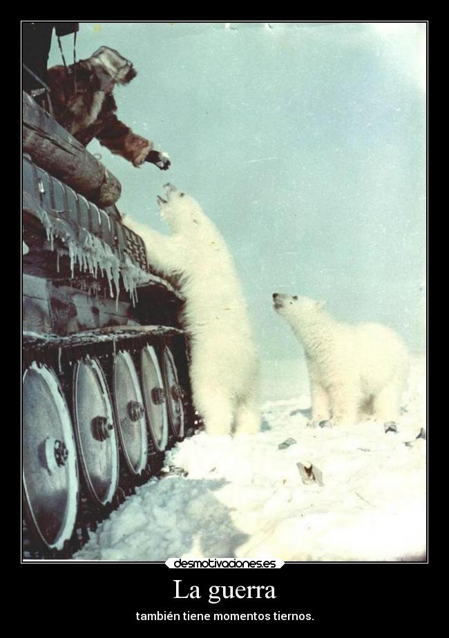 La guerra - también tiene momentos tiernos.