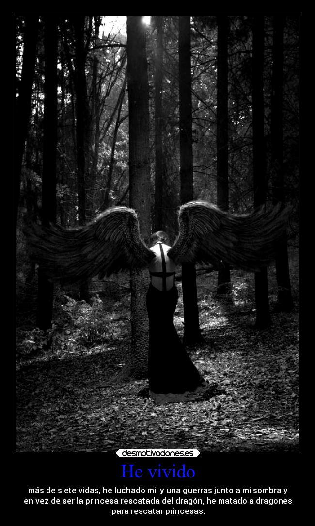 He vivido - más de siete vidas, he luchado mil y una guerras junto a mi sombra y
en vez de ser la princesa rescatada del dragón, he matado a dragones
para rescatar princesas.