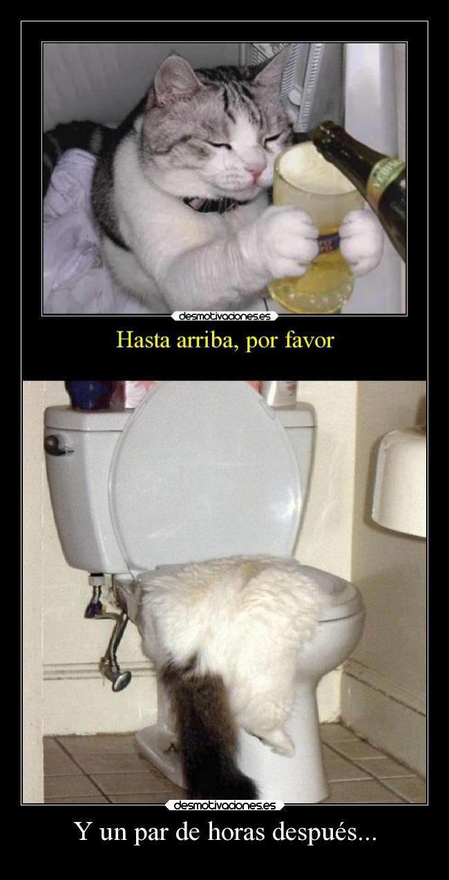 Y un par de horas después... -