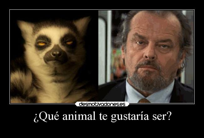 ¿Qué animal te gustaría ser? -