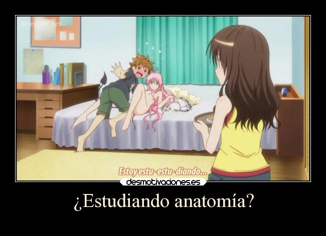 carteles humor anime motto love toloveru yuki rito lala deviluke mikan otaku devilbrigade estudiando anatomia desmotivaciones