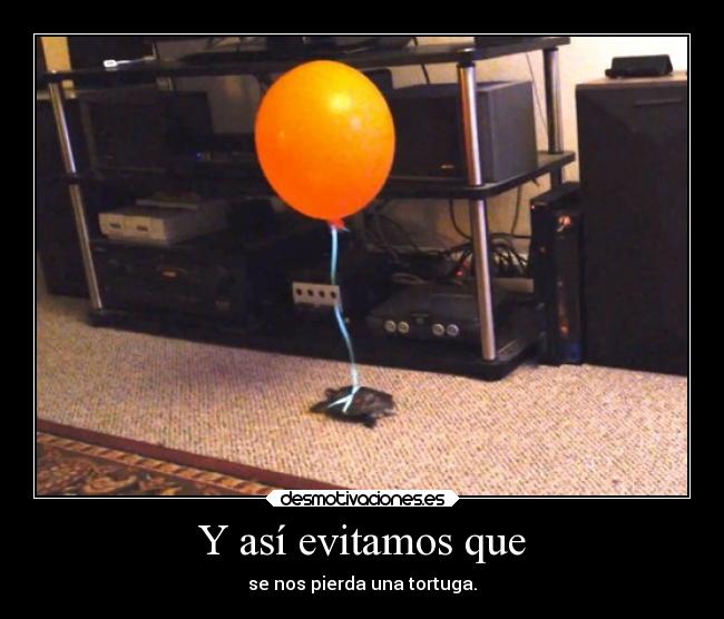 Y así evitamos que - se nos pierda una tortuga.
