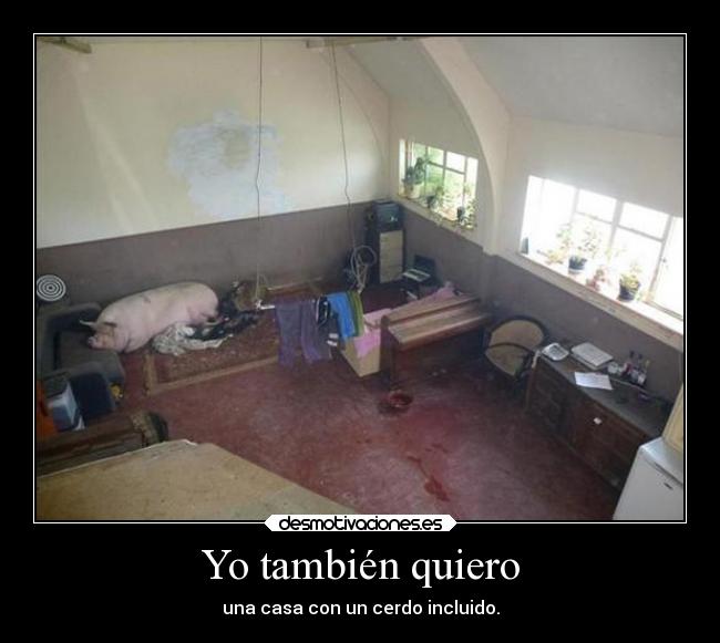 Yo también quiero - 