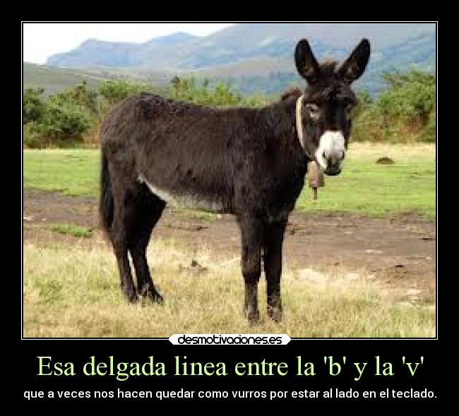 carteles humor desmotivaciones