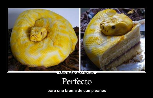 Perfecto - 