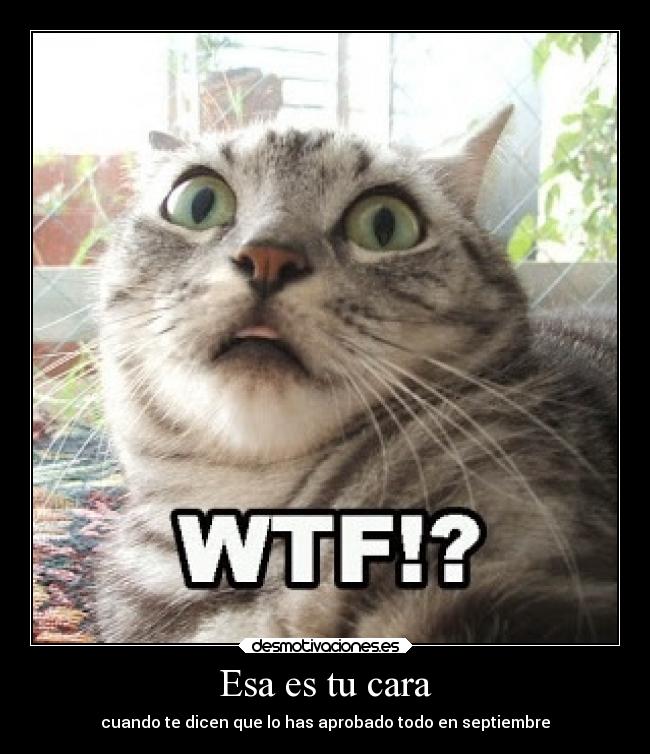 Esa es tu cara - cuando te dicen que lo has aprobado todo en septiembre