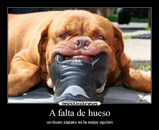 carteles humor desmotivaciones