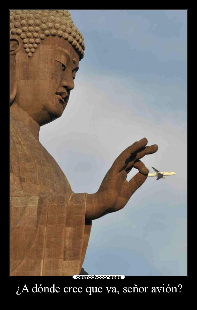 ¿A dónde cree que va, señor avión? -