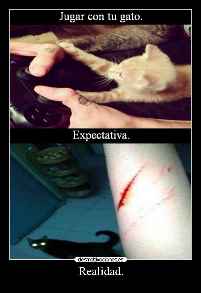 Realidad. - 