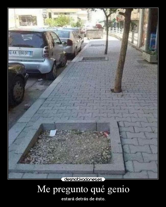 Me pregunto qué genio -