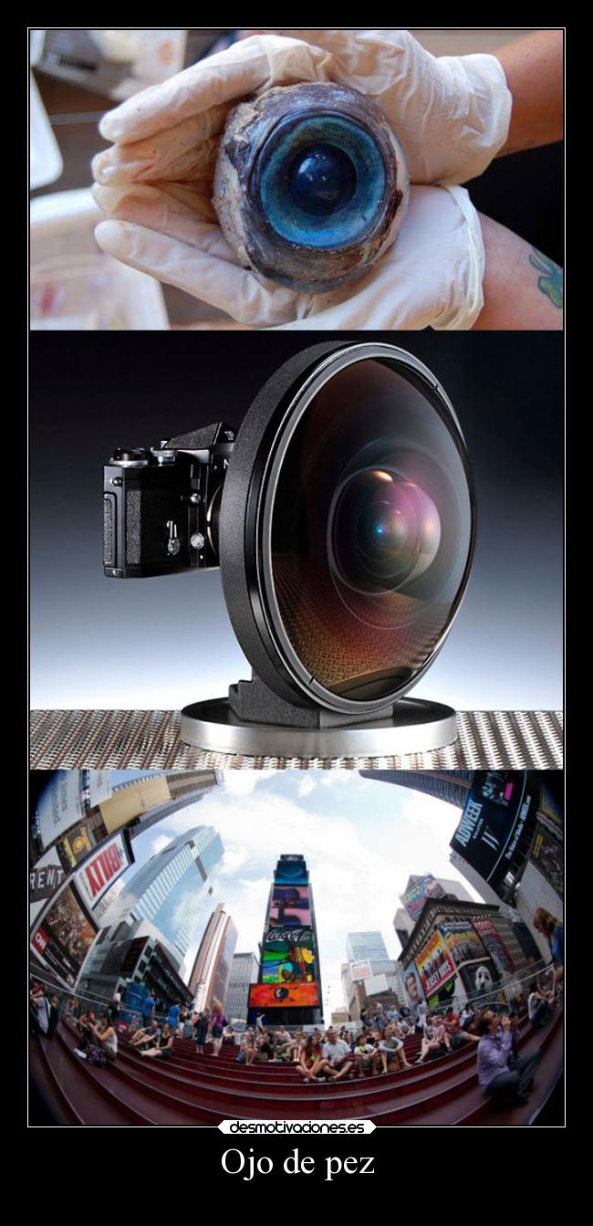 Ojo de pez -