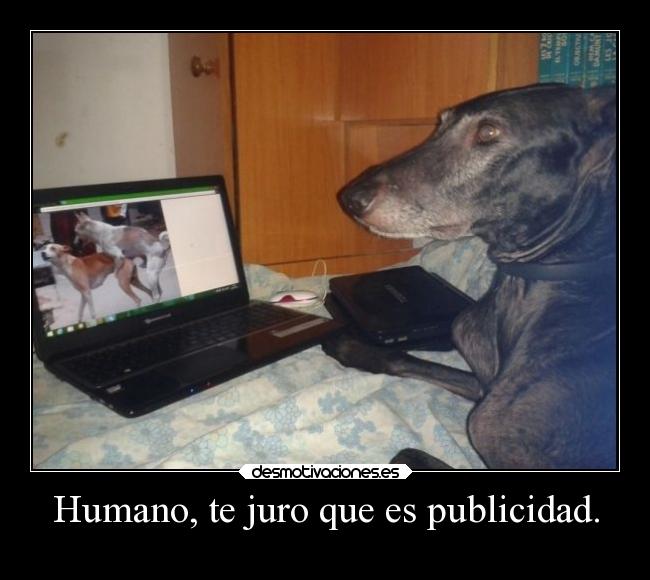 Humano, te juro que es publicidad. -