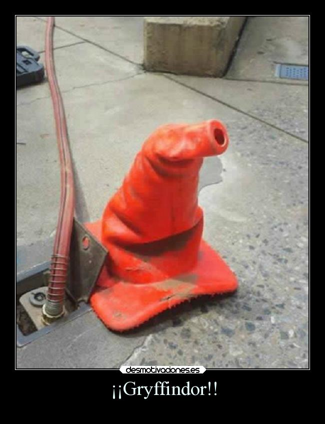 ¡¡Gryffindor!! - 