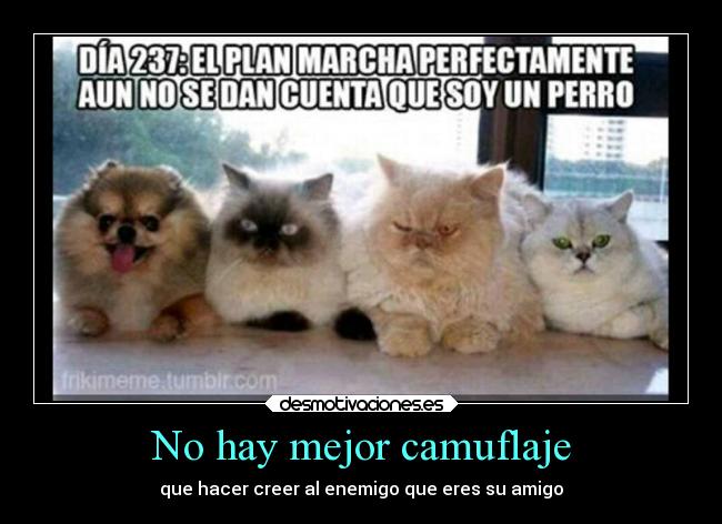 No hay mejor camuflaje - que hacer creer al enemigo que eres su amigo