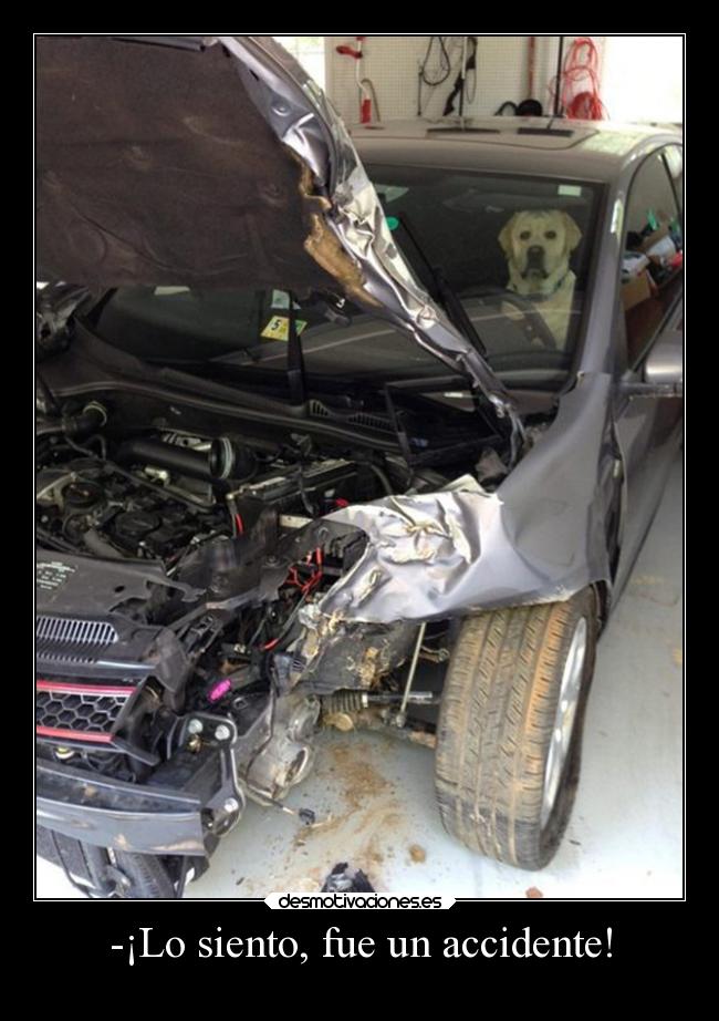 -¡Lo siento, fue un accidente! -