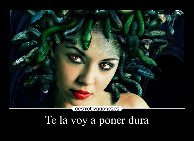 carteles humor slipkdemon clandesplazado medusa ereccion pene desmotivaciones