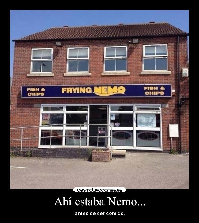 Ahí estaba Nemo... - antes de ser comido.