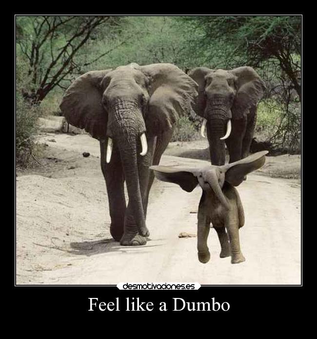 Feel like a Dumbo -